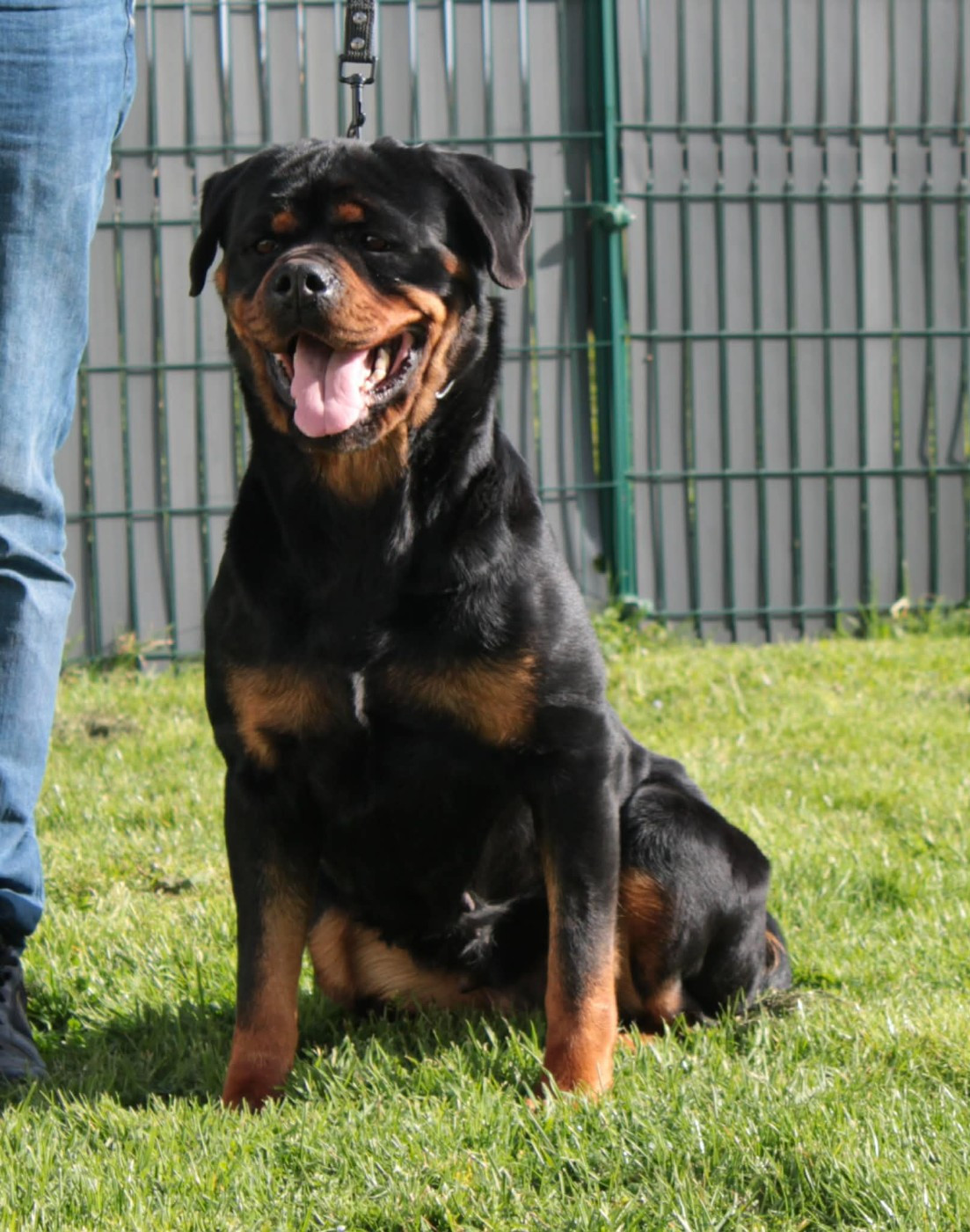 Una Of Impérial Wisdom