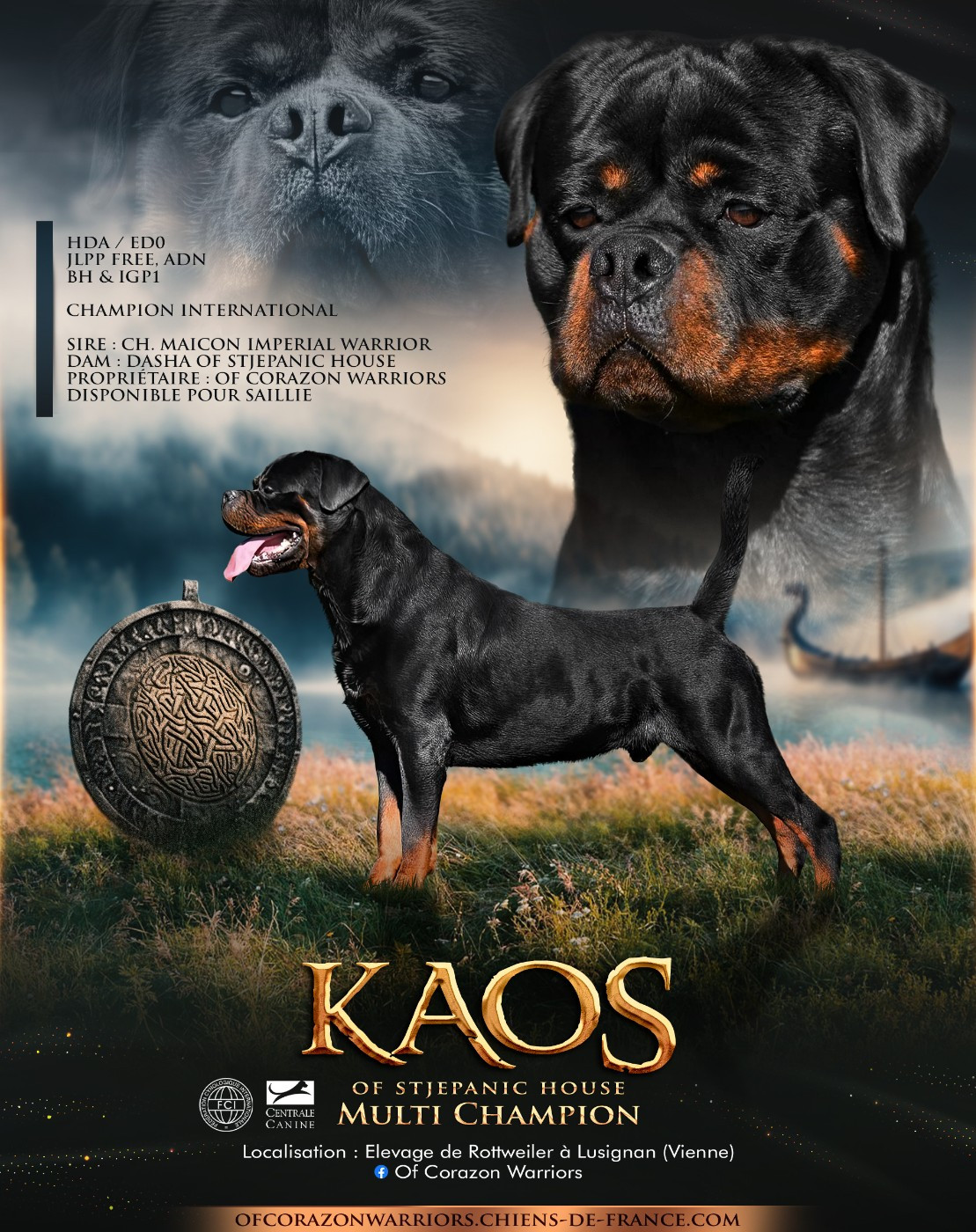 CH. Kaos of stjepanic house